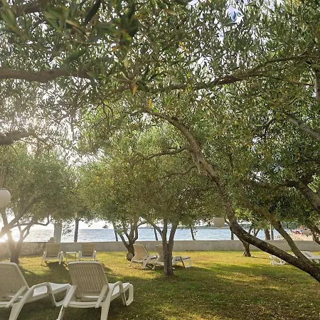Apartment Olea 1930 - Beachfront For 2